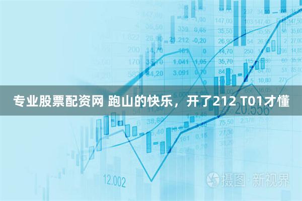 专业股票配资网 跑山的快乐，开了212 T01才懂